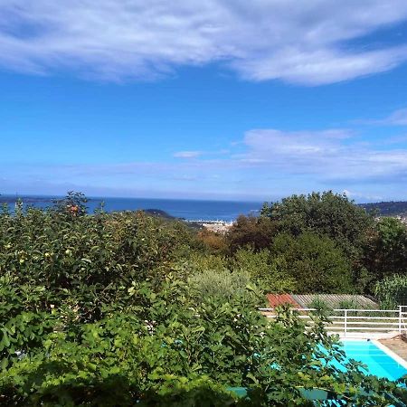Apartments Ficur With Swimming Pool & Grill, Portoroz Bagian luar foto